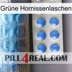 Grüne Hornissenlaschen 40